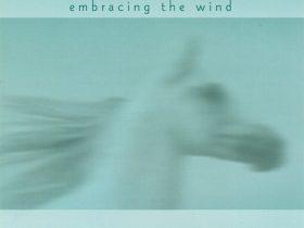 凯文科恩（Kevin Kern）全集 11CD—Embracing the Wind（云淡风轻）