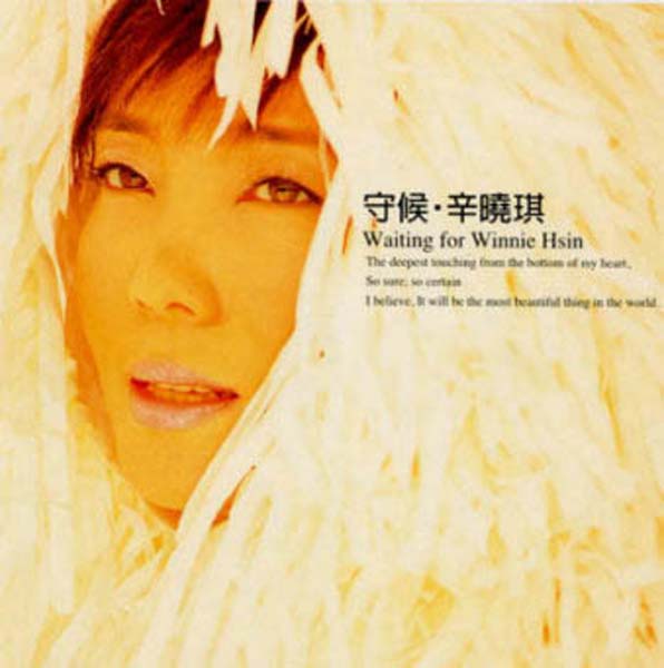 辛晓琪音乐专辑35张39CD[WAV+CUE]