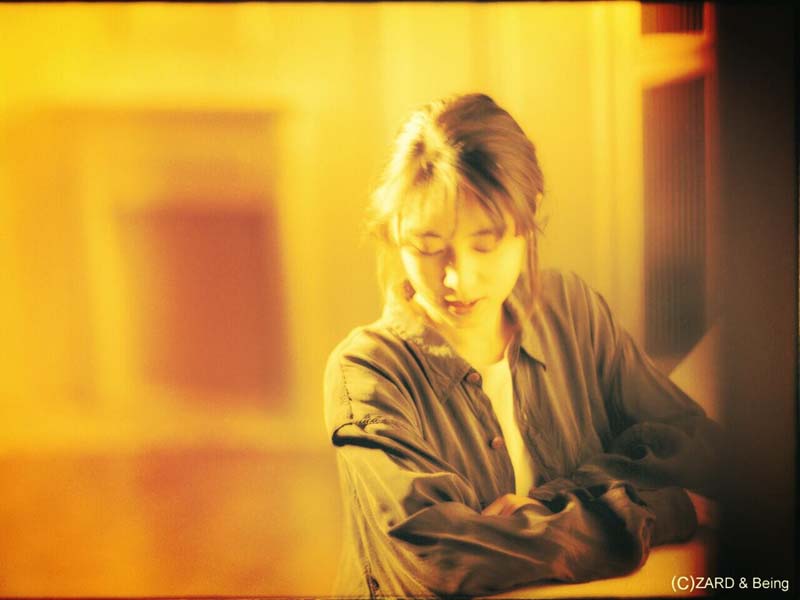 ZARD（坂井泉水）音乐全集+影像+图像