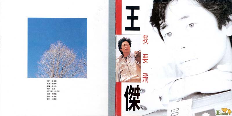 我要飞 （1990年发行第6张国语专辑）