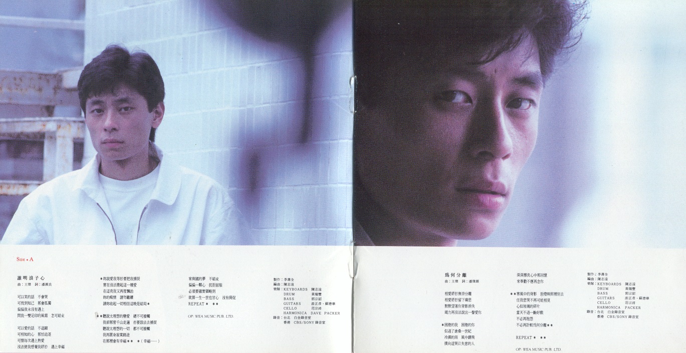 谁明浪子心 （1989年发行第2张粤语专辑）