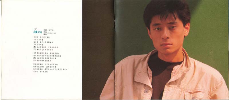 我要飞 （1990年发行第6张国语专辑）