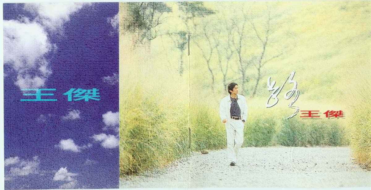 路（1993年发行第12张国语专辑）