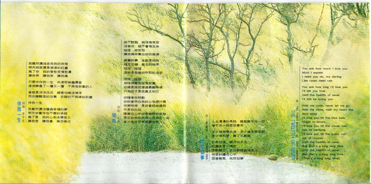 路（1993年发行第12张国语专辑）