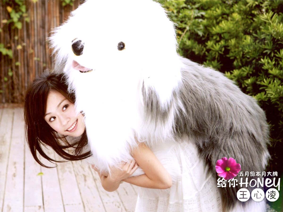 王心凌音乐专辑21张26CD[WAV+CUE]