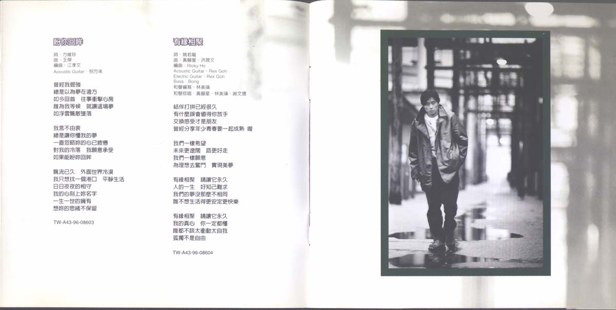 手足情深（1996年发行第17张国语专辑）