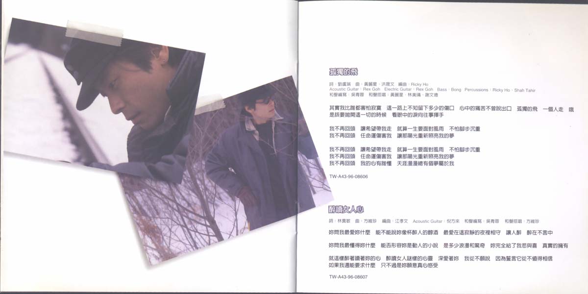 手足情深（1996年发行第17张国语专辑）