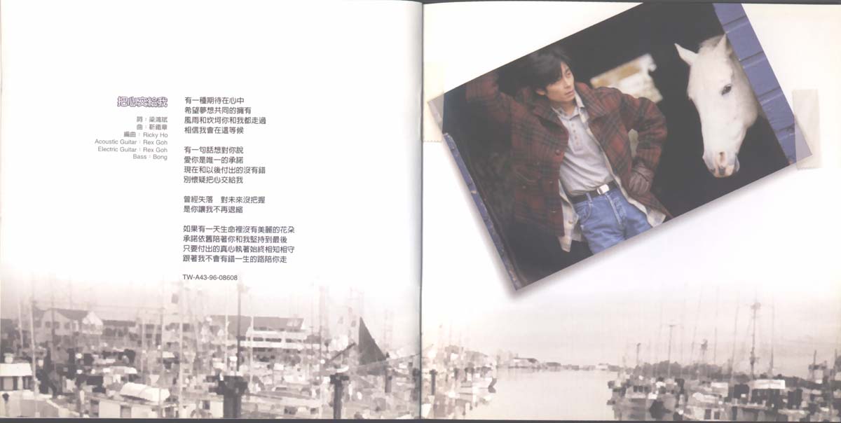 手足情深（1996年发行第17张国语专辑）