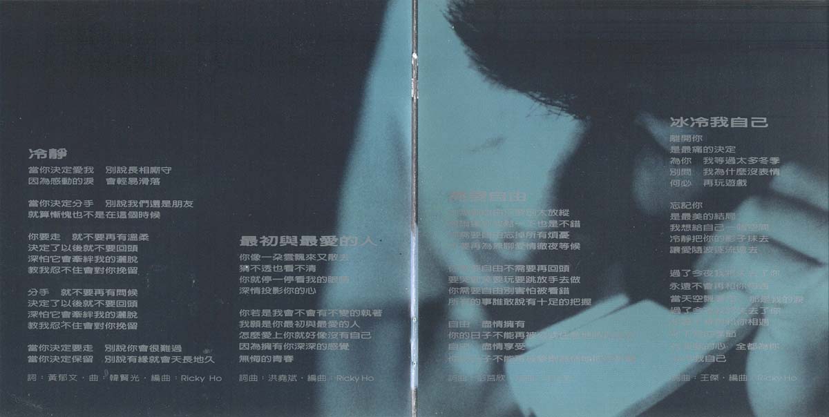 梦在无梦的夜里（1995年发行第15张国语专辑）