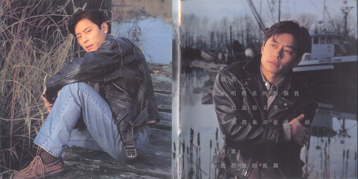 梦在无梦的夜里（1995年发行第15张国语专辑）