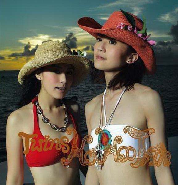 TWINS音乐专辑50张60CD[WAV+CUE]+AAC、DVD、FLAC、MP3专辑10张