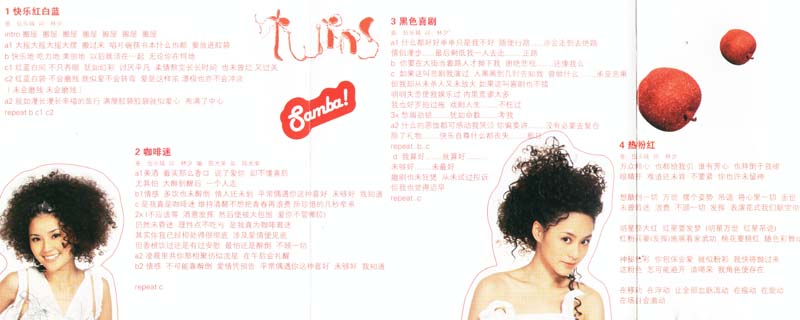 TWINS音乐专辑50张60CD[WAV+CUE]+AAC、DVD、FLAC、MP3专辑10张