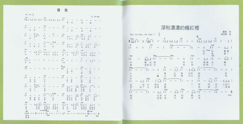 永远的未央歌-滚石新格民歌系列（1977-1982,2005）-金韵奖（1-10）20张20CD[日本东芝版][台湾复刻版][WAV+CUE]