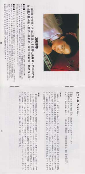 邓丽君-1974-2001绝版复刻盘28张28CD[套图][日本版][环球][WAV+CUE]