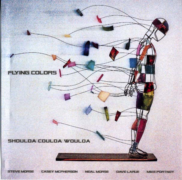Flying Colors 音乐专辑9张11CD[WAV+CUE]