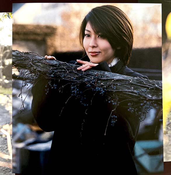 松隆子音乐专辑11张11CD[WAV+CUE]
