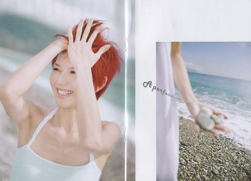孙燕姿 – 2015 – 完美的1天 – A Perfect Day [5MCD-2005][限量版][5大唱片][再版][WAV+CUE]