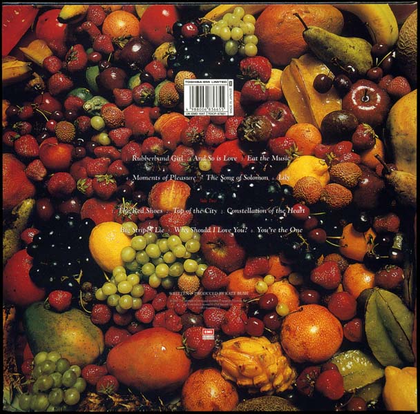Kate Bush 凯特·布什 音乐专辑96张124CD[WAV+CUE]