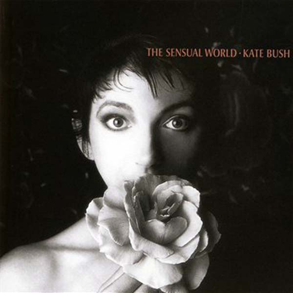 Kate Bush 凯特·布什 音乐专辑96张124CD[WAV+CUE]