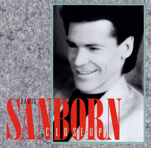 David Sanborn 大卫·桑伯恩 音乐专辑36张36CD[WAV+CUE]