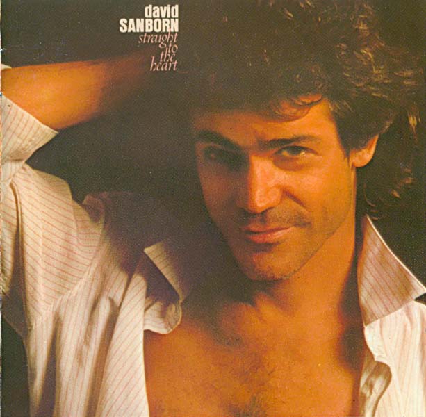 David Sanborn 大卫·桑伯恩 音乐专辑36张36CD[WAV+CUE]
